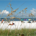 The Vital Role of County Commission in Bay County, Florida
