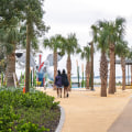 The Busy Schedule and Responsibilities of Public Officials in Bay County, Florida