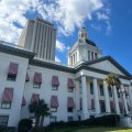The Process of Creating and Passing Laws in Bay County, Florida: An Expert's Perspective