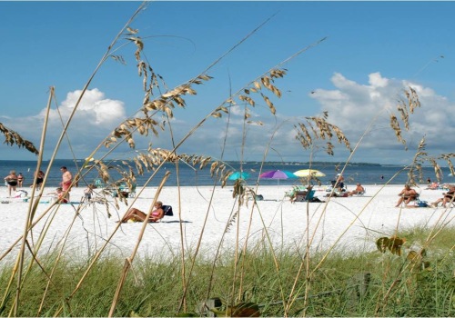 The Vital Role of County Commission in Bay County, Florida