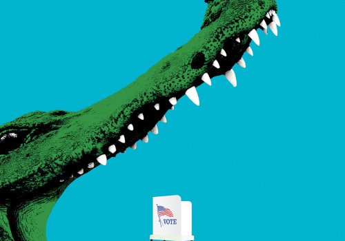 The Frequency of Elections for Public Officials in Bay County, Florida
